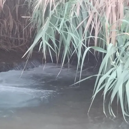 A Petrazzi Appartement Castellammare del Golfo